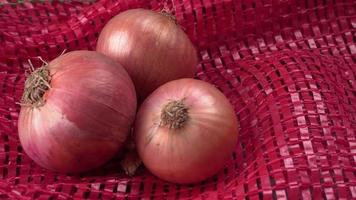 Fresh red onions photo