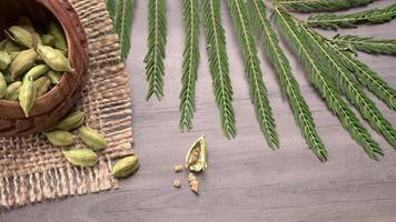 Fresh organic green elaichi or Cardamom photo