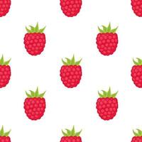 Seamless Pattern of Raspberries, Fruit Pattern, Berry Pattern, Vector Illustration