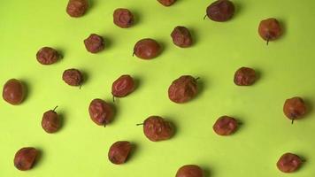 Indian jujube grown in the wild photo