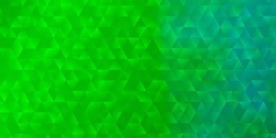 Light Green vector background with polygonal style.