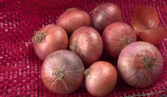 Fresh red onions photo