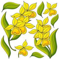 Floral illustration in hand draw style vector