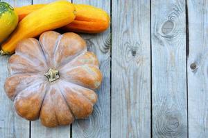 Huge Mature pumpkin with different vegetables close-up. The view from the top. Horizontal wooden background with space for text photo