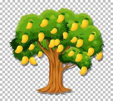 árbol de mango en el fondo de la cuadrícula vector