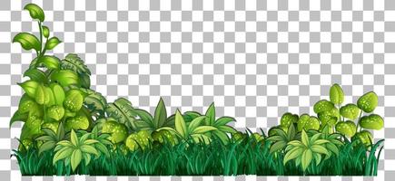 Cartoon Grass Vector Art, Icons, and Graphics for Free Download Cartoon Grass Vector Art, Icons, and Graphics for Free Download