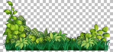 Grass and plants on grid background for decor vector