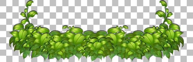 Grass and plants on grid background for decor vector