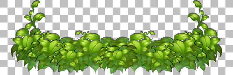 Grass and plants on grid background for decor