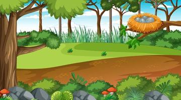 Forest at daytime landscape scene vector