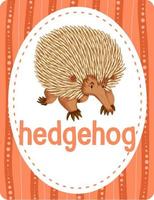 Vocabulary flashcard with word Hedgehog vector