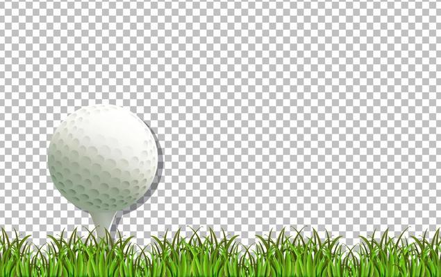 Golf ball and grass on grid background