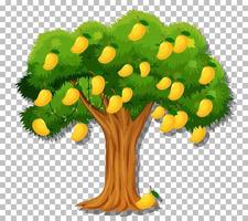 Mango tree on grid background vector