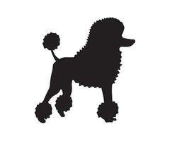 silhouette of a poodle vector