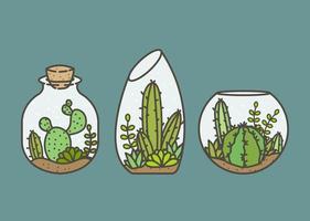 Terrarium Vector Illustration. Cactus And Succulent Terrarium Pot Illustration.