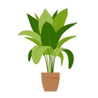 Home plant. Potted plant isolated on white. Flat. Vector illustration.