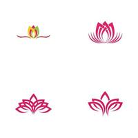 set of beautiful lotus flower vector