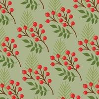 Pattern web pattern rowan background texture - Vector