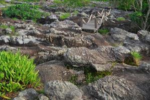 piedra en forma de copa. el parque nacional pa hin ngam en chaiyaphum, tailandia foto