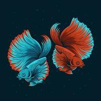 illustration two beautiful beta fish vector