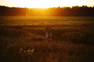 Little girls are walking in a field at sunset photo