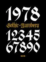 Gothic figures.   Beautiful and stylish calligraphy. vector