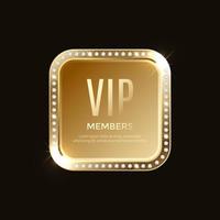 Luxury vip labels and golden badge objects vector