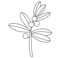 illustration of decorative plant vector