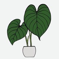 simplicidad philodendron gloriosum houseplant simplicidad dibujo a mano alzada diseño plano. vector