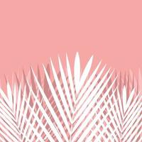 hoja de palmera tropical sobre fondo rosa. vector