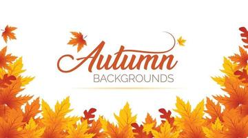 Autumn Background, Autumn leaves Background, Autumn Banner Backgrounds