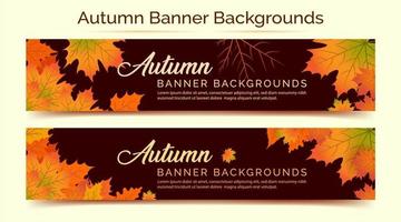 Autumn Background, Autumn leaves Background, Autumn Banner Backgrounds vector