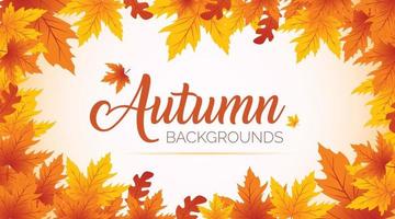 Autumn Background, Autumn leaves Background, Autumn Banner Backgrounds vector