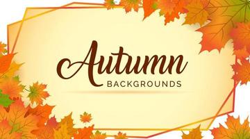 Autumn Background, Autumn leaves Background, Autumn Banner Backgrounds vector