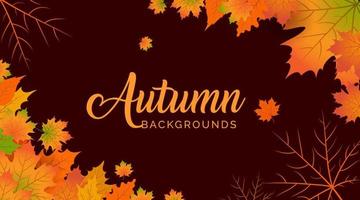 Autumn Background, Autumn leaves Background, Autumn Banner Backgrounds vector