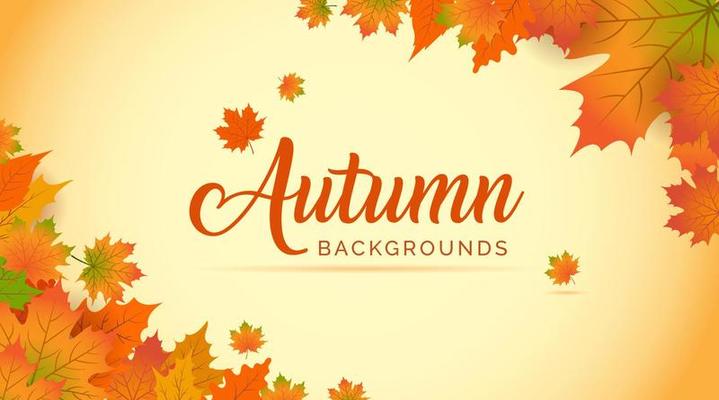 Autumn Background, Autumn leaves Background, Autumn Banner Backgrounds