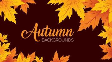 Autumn Background, Autumn leaves Background, Autumn Banner Backgrounds vector