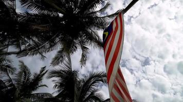 slow motion vlag van Maleisië zwaaien met kokosnoot video