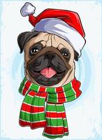 Funny smiling Christmas Pug dog head with Santa Claus hat and scarf, Xmas Pug dog vector