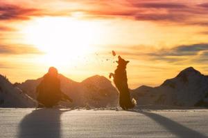 Girl plays with border collie in the snow photo