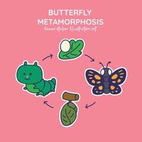 Lindo y kawaii conjunto de ilustración de pegatinas de metamorfosis de mariposa de huevo, oruga, crisálida a mariposa vector