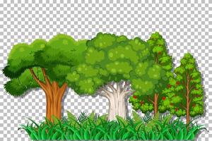Tree on grid background vector