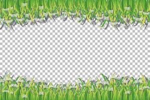 Nature plants frame grid background vector