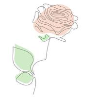beautiful Rose Line art