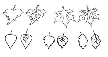 Set  autumn leaves line drawings outline vector