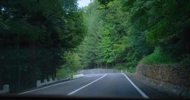 Blick aus dem Auto auf Bergstraße und Wald video