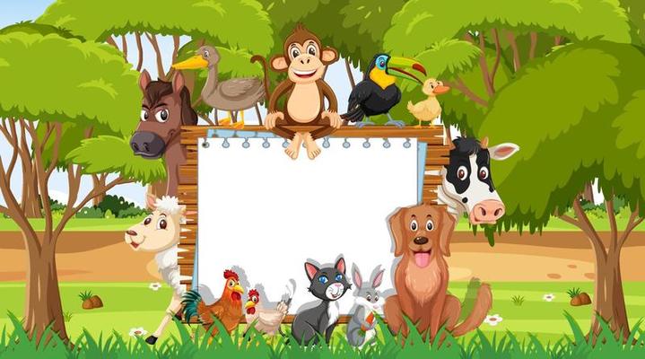 Empty wooden frame with various wild animals in the forest