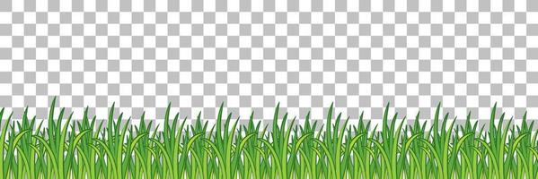 Grass and plants on grid background for decor vector