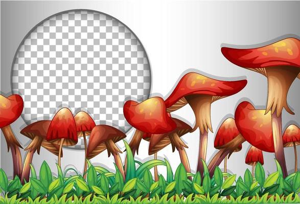 Round frame with many mushrooms