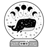 Mystic magic ball with celestial whale and moon phases vector